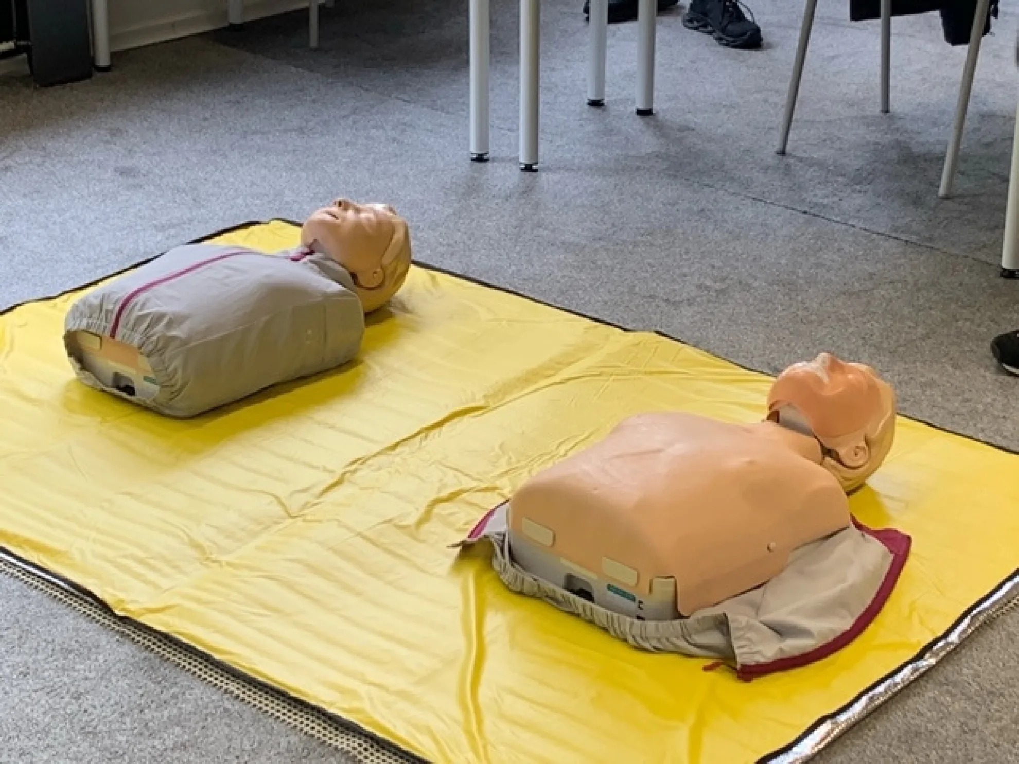Ersthelfer - Grundausbildung und Auffrischung -